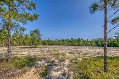 Lot 8 SW Waterfall St, Pace, FL 32571 - Photo 3