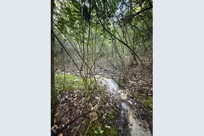 Lot 8 SW Waterfall St, Pace, FL 32571 - Photo 21