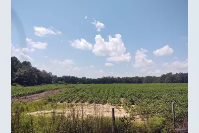 7264 Springhill Rd, Milton, FL 32570 - Photo 3