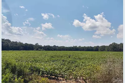 7264 Springhill Rd, Milton, FL 32570 - Photo 1