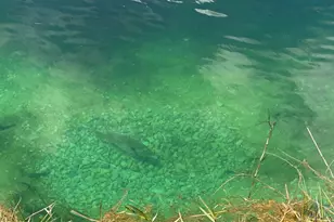 1886 Schnoor Rd, Jay, FL 32565 - Photo 21