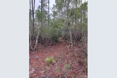 0 Havburg Dr, Pensacola, FL 32506 - Photo 7