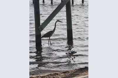 7376 Mulberry Ln, Navarre, FL 32566 - Photo 21