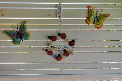 6311 Ladera Trl, Pace, FL 32571 - Photo 47