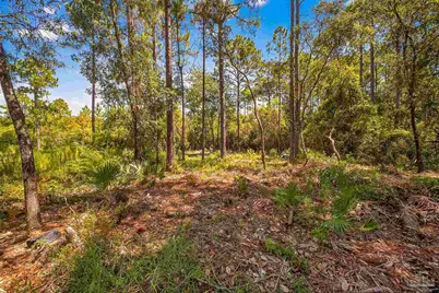 5652 Bay Forest Dr, Pensacola, FL 32526 - Photo 5