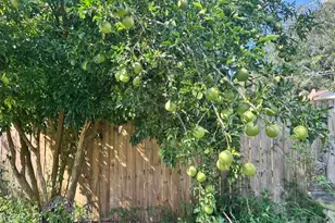 1347 Woodfield Dr, Cantonment, FL 32533 - Photo 39