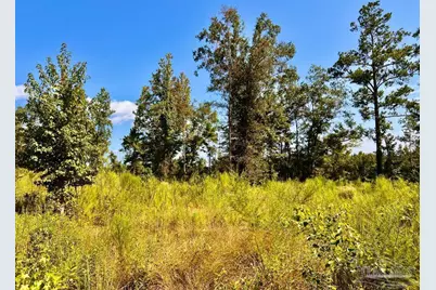 Lot 6C Cotton Lake Rd, Molino, FL 32577 - Photo 7