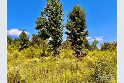 Lot 6C Cotton Lake Rd, Molino, FL 32577 - Photo 15