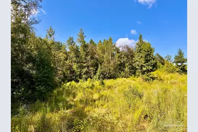 Lot 6C Cotton Lake Rd, Molino, FL 32577 - Photo 13