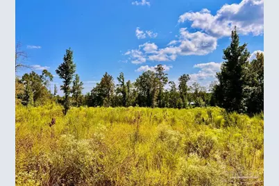 Lot 6C Cotton Lake Rd, Molino, FL 32577 - Photo 3