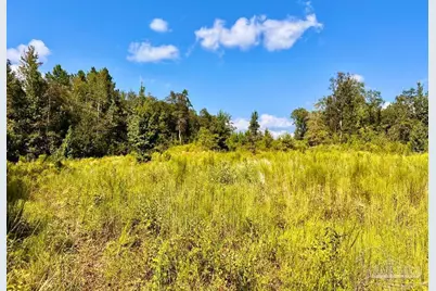 Lot 6C Cotton Lake Rd, Molino, FL 32577 - Photo 9