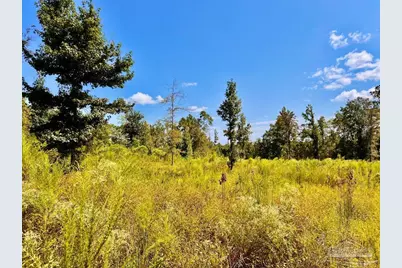 Lot 6C Cotton Lake Rd, Molino, FL 32577 - Photo 21