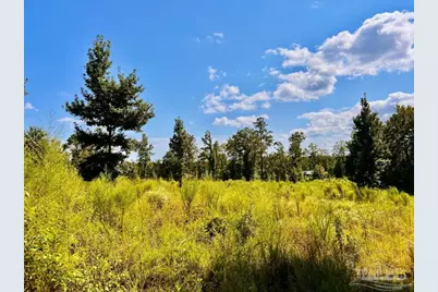 Lot 6C Cotton Lake Rd, Molino, FL 32577 - Photo 19