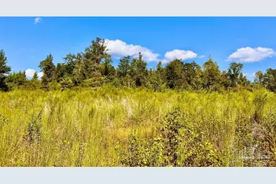 Lot 6C Cotton Lake Rd, Molino, FL 32577 - Photo 11