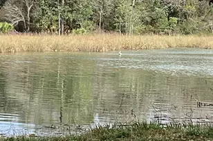 4150 Menendez Dr, Pensacola, FL 32503 - Photo 59