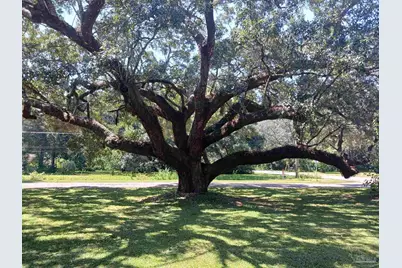 3711 Raines St, Pensacola, FL 32514 - Photo 7