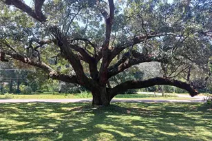 3711 Raines St, Pensacola, FL 32514 - Photo 7