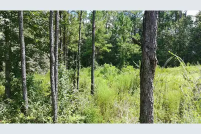 3457 Argyle Dr, Pace, FL 32571 - Photo 5