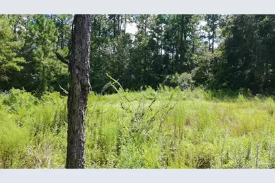 3453 Argyle Dr, Pace, FL 32571 - Photo 9