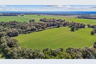 12060 N Hwy 87, Jay, FL 32570 - Photo 5