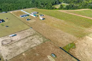 6501 Wiley Ates Rd, Milton, FL 32570 - Photo 45