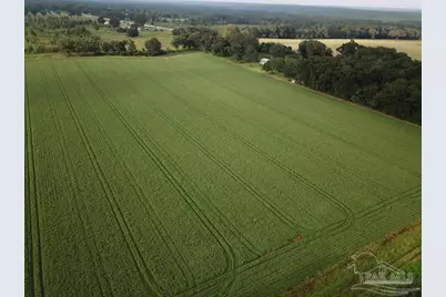 16+ Acres N Hwy 87, Milton, FL 32570 - Photo 3