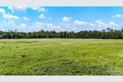 15A Hwy 182, Jay, FL 32565 - Photo 11