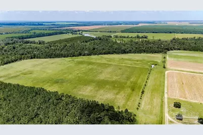 15A Hwy 182, Jay, FL 32565 - Photo 3