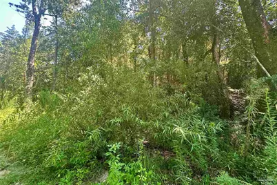 0000 Legend Creek Dr, Pace, FL 32571 - Photo 17