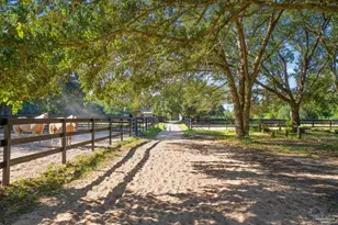 1911 Mathison Rd, Cantonment, FL 32533 - Photo 33