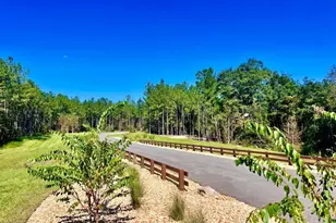 9107 Pine Preserve Ln, Jay, FL 32565 - Photo 19