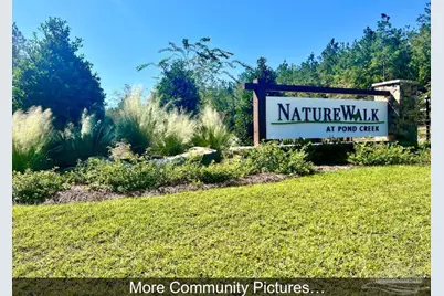 9107 Pine Preserve Ln, Jay, FL 32565 - Photo 65