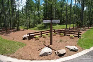 9107 Pine Preserve Ln, Jay, FL 32565 - Photo 11