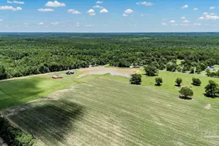 4649A Preacher Ln, Jay, FL 32565 - Photo 57