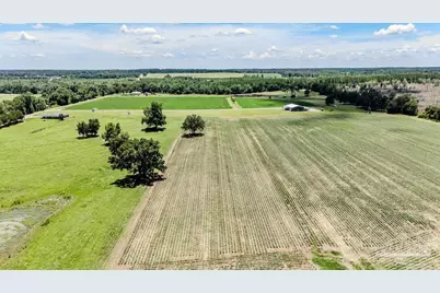 4649A Preacher Ln, Jay, FL 32565 - Photo 23