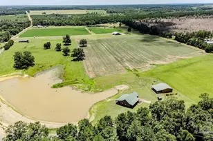 4649A Preacher Ln, Jay, FL 32565 - Photo 21