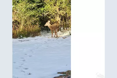 5406 Steele Rd, Baker, FL 32531 - Photo 41