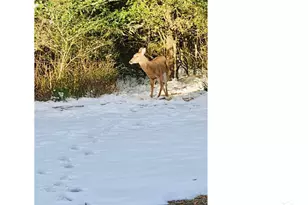 5406 Steele Rd, Baker, FL 32531 - Photo 41