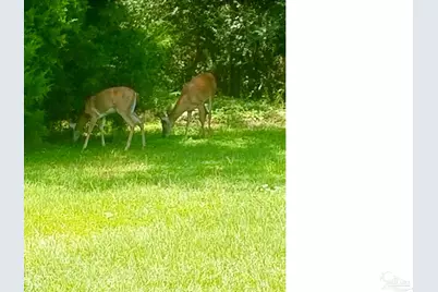 5406 Steele Rd, Baker, FL 32531 - Photo 45