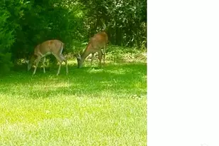 5406 Steele Rd, Baker, FL 32531 - Photo 45