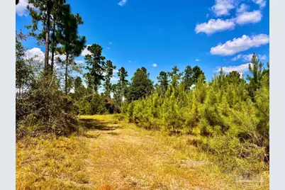 Lot 1 Morgans Branch, Molino, FL 32577 - Photo 15