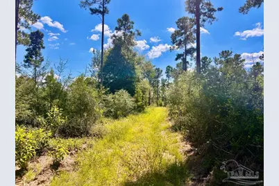 Lot 1 Morgans Branch, Molino, FL 32577 - Photo 9