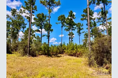 Lot 1 Morgans Branch, Molino, FL 32577 - Photo 1