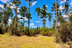 Lot 1 Morgans Branch, Molino, FL 32577 - Photo 1