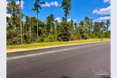Lot 1 Morgans Branch, Molino, FL 32577 - Photo 11