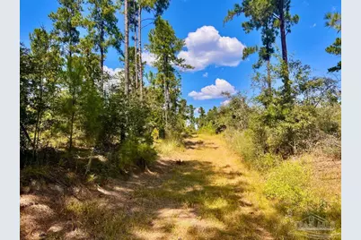 Lot 1 Morgans Branch, Molino, FL 32577 - Photo 13