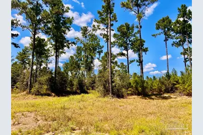 Lot 1 Morgans Branch, Molino, FL 32577 - Photo 17