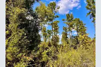 Lot 2 Morgans Branch, Molino, FL 32577 - Photo 13