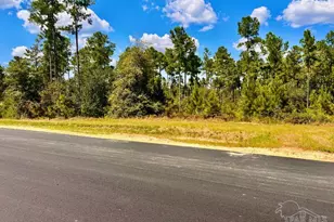 Lot 2 Morgans Branch, Molino, FL 32577 - Photo 1