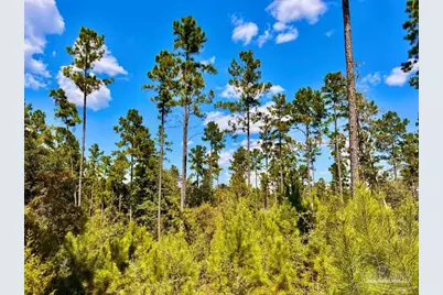 Lot 2 Morgans Branch, Molino, FL 32577 - Photo 15